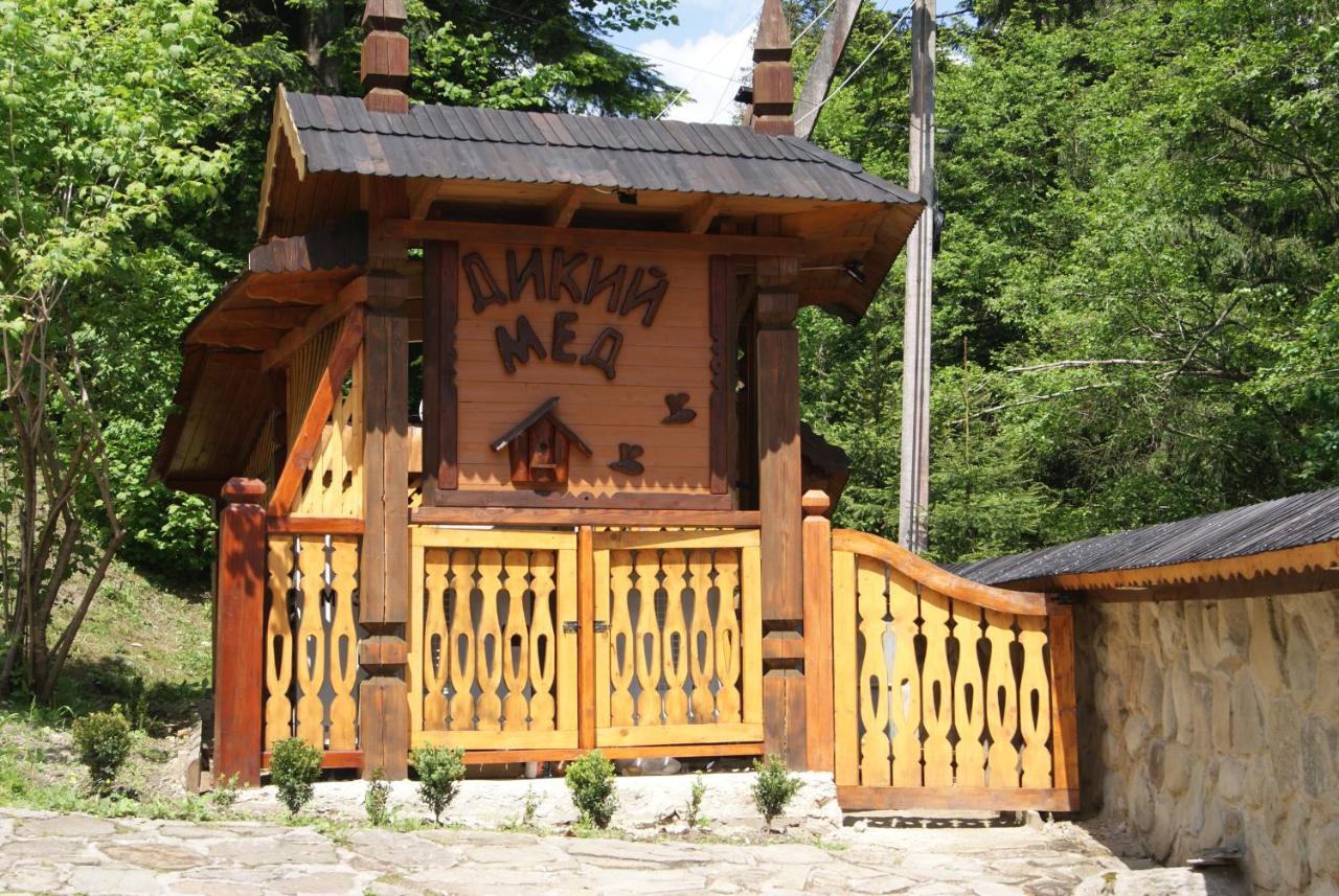Hotel Dykyi Med 타타리브 외부 사진